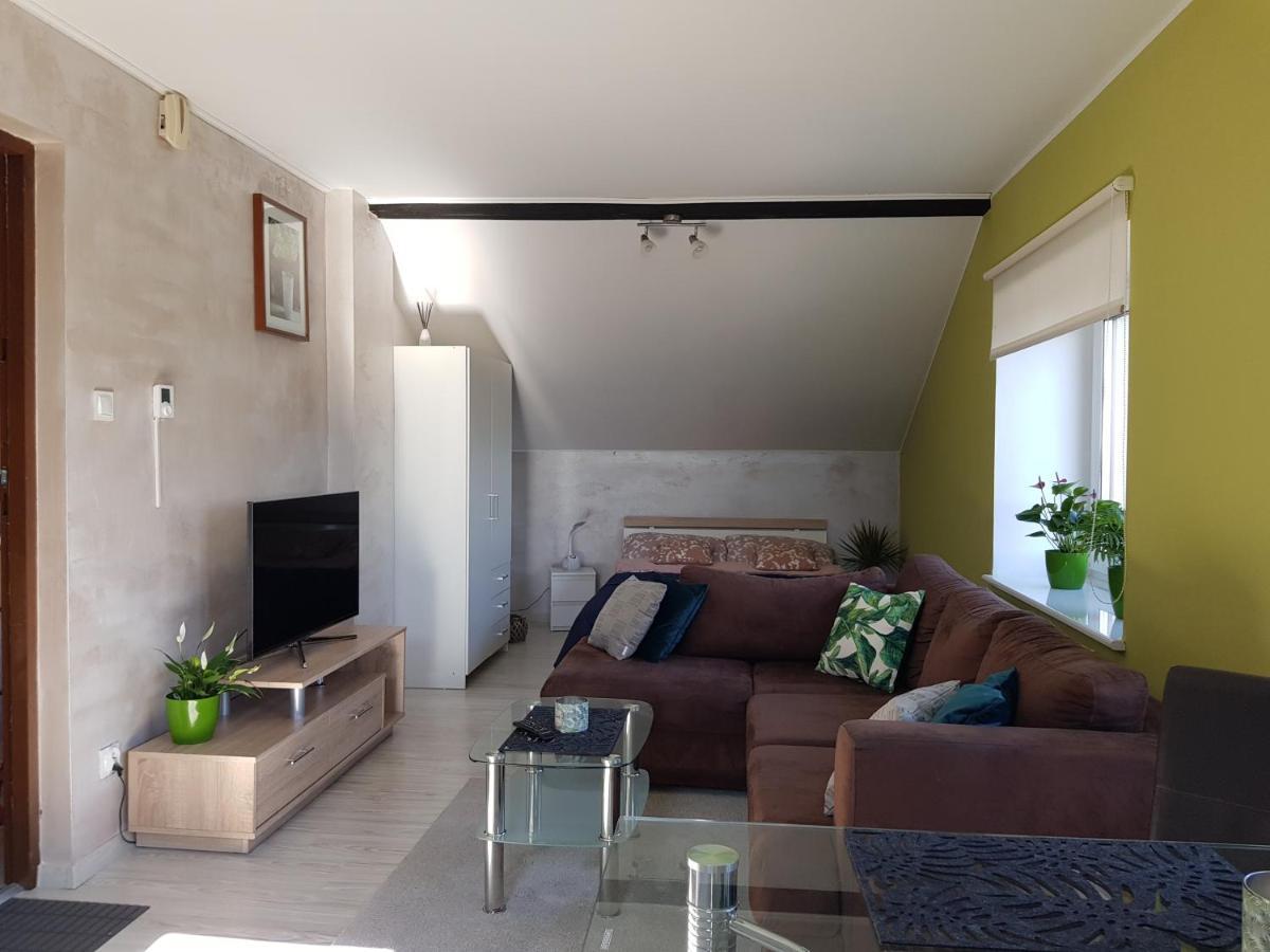 Malinowa 36 Apartamenty ホイニツェ エクステリア 写真