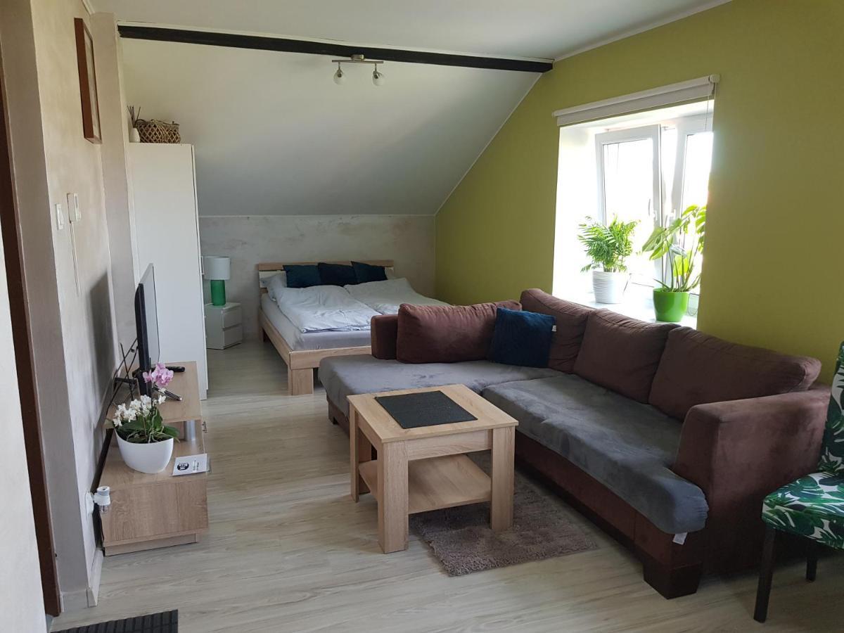 Malinowa 36 Apartamenty ホイニツェ エクステリア 写真