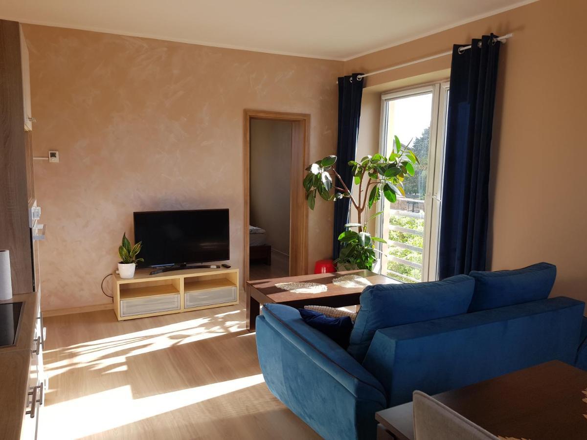 Malinowa 36 Apartamenty ホイニツェ エクステリア 写真